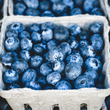 U-Pick Blueberries, Sublimity Blueberries